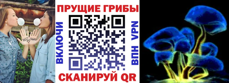 KRAKEN маркетплейс Бабушкин Псилоцибиновые грибы мицелий